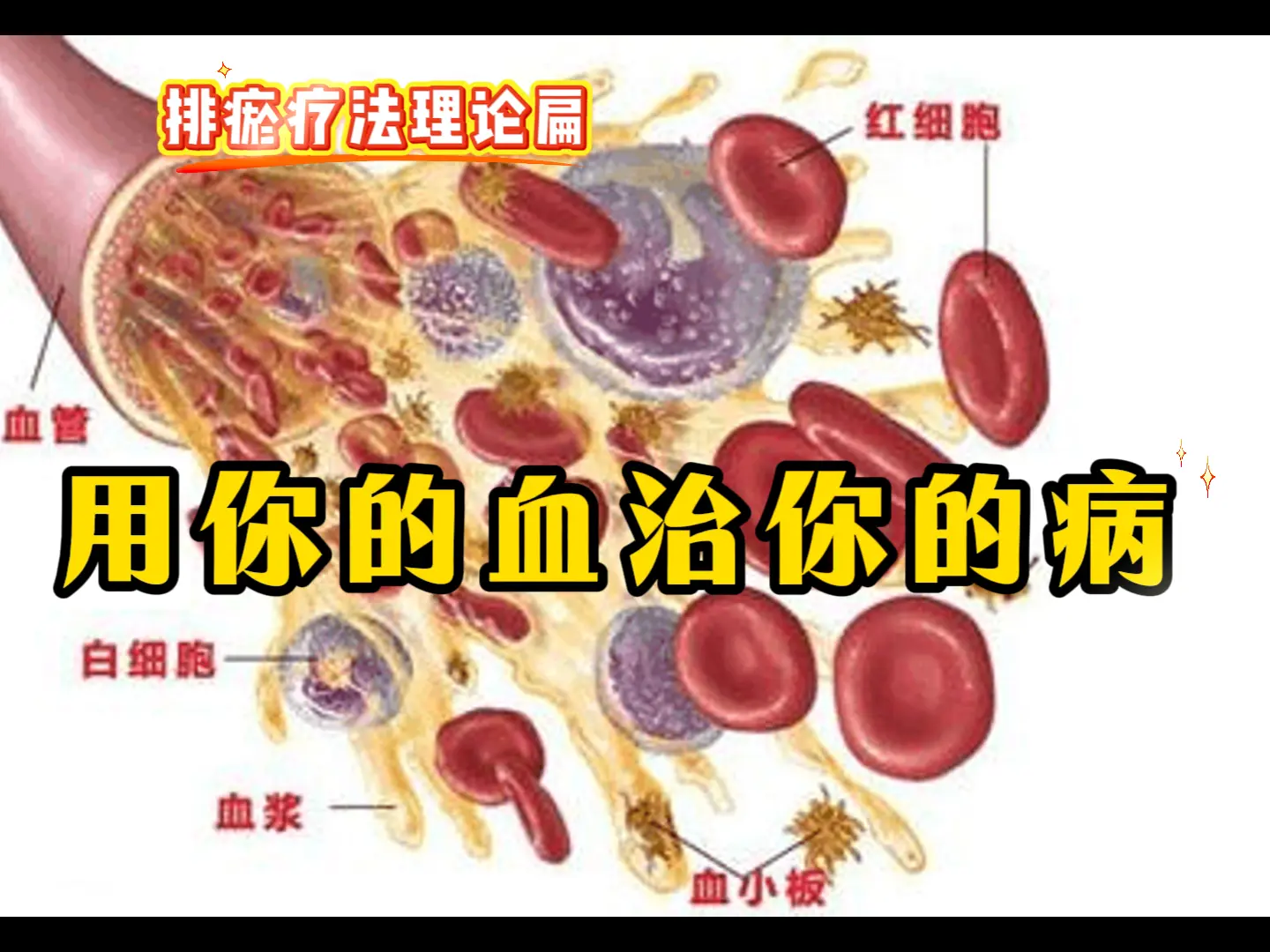 10 用你的血治你的病-中医排瘀疗法